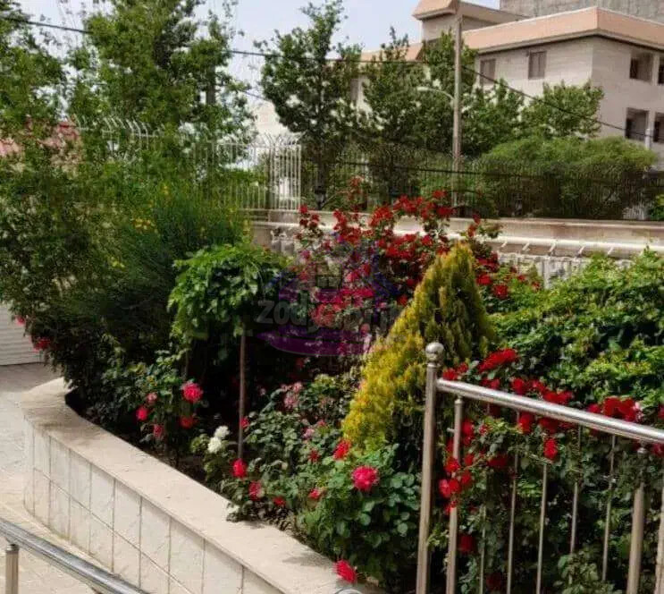 آگهی